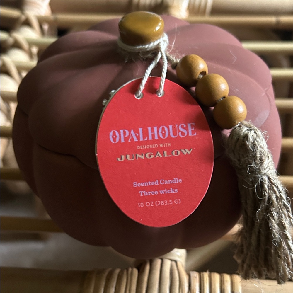 Opalhouse Terracotta Pumpkin Candle with Tassel. Sandalwood & Rose